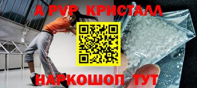 стафф Новозыбков