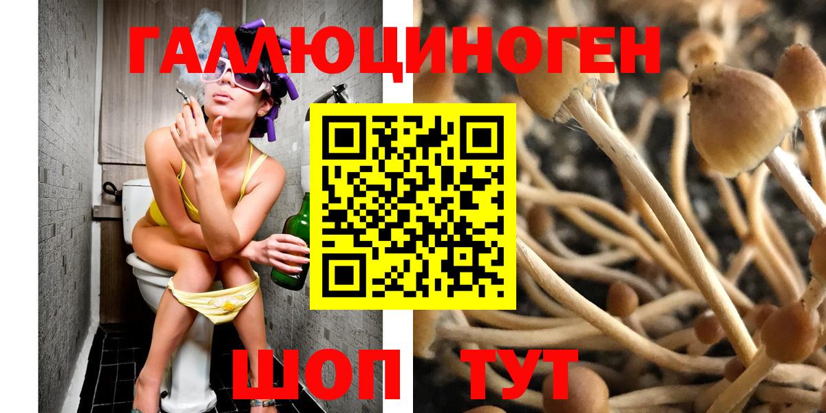Галлюциногенные грибы Magic Shrooms Сосновоборск